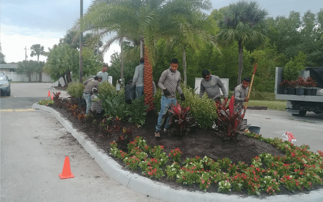 Hardscaping in North Fort Myers, FL